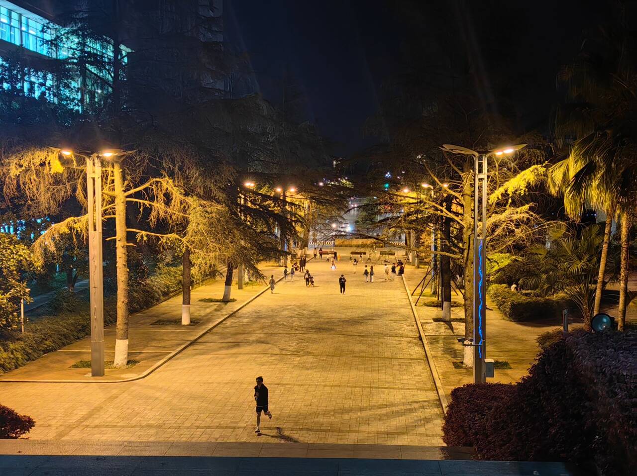 校园夜景